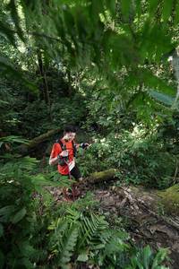 BIB: 
                            <button type="button" onclick="openModal(16029155)" class="btn btn-primary btn-sm float-right btn-popup" data-toggle="modal" data-target=".modal-high-quality">
                        <i class="fas fa-shopping-cart"></i> Add to Cart
                    </button>
                                            <button type="button" onclick="isThisMe(16029155, true)" class="btn btn-success btn-sm float-right btn-popup btn-isme hidden" data-toggle="tooltip" data-placement="bottom" title="นี่คือรูปของคุณใช่ไหม คลิกที่นี่เพื่อเอาเข้าอัลบั้ม">
                        <i class="fas fa-plus"></i> Add to album
                    </button>
                    <button type="button" onclick="isThisMe(16029155, false)" class="btn btn-warning btn-sm float-right btn-popup btn-isnotme hidden">
                        <i class="fas fa-ban"></i> Remove from album
                    </button>